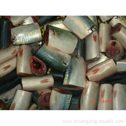 Frozen Iqf Headed Gutted Tailed Pacific Mackerel Hgt